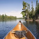 Paradise15612164624 Avatar